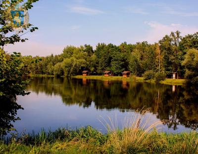 26 грудня – аукціон з продажу права оренди земельних ділянок разом із водними об’єктами