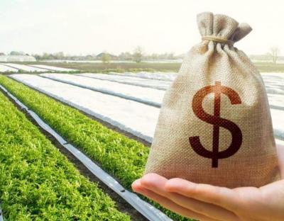 В Державному земельному кадастрі з’явились дані про грошову оцінку земель майже 130 населених пунктів Львівщини
