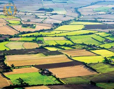 Електронні земельні торги з продажу права оренди земельних ділянок державної власності відбудуться 1 лютого