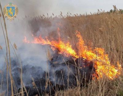 Аграріїв закликають не спалювати суху рослинність