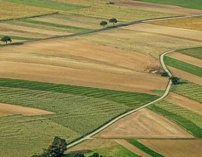 Аграріїв запрошують взяти участь у земельних аукціонах