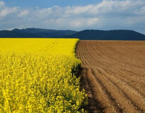 Аграріїв та представників ОТГ запрошують до участі у дискусії з прозорості орендних правовідносин