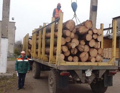 Обсяги лісозаготівель на Львівщині зросли на 16,2 % 