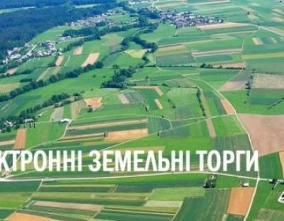 Від початку року на Львівщині виставили понад 100 земельних ділянок на е-аукціонах «Прозоро. Продажі».