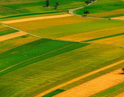 До уваги аграріїв: 4 серпня відбудеться земельний аукціон