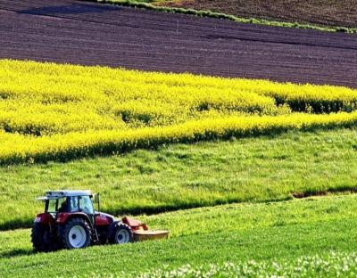 Наступного тижня відбудуться електронні аукціони з продажу прав оренди землі