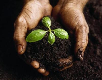 Фермерам нагадують про право на викуп землі, яка перебуває у постійному користуванні