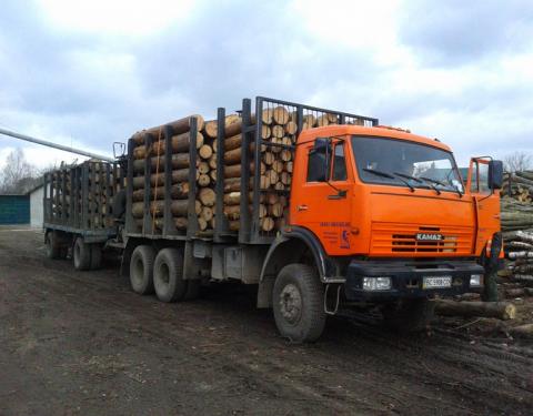 Лісогосподарські підприємства області оновлюють засоби виробництва