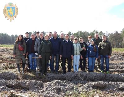 До Міжнародного дня лісу на Жовківщині висадили нові дерева