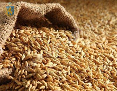 До уваги аграріїв: стартує весняна форвардна програма закупівлі зерна  врожаю 2019 року