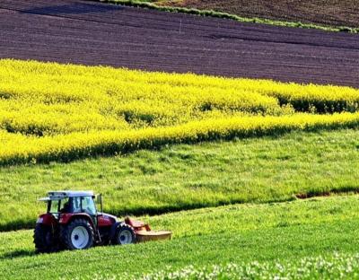 До уваги аграріїв: 23 березня відбудеться земельний аукціон з продажу прав оренди