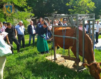 В межах Молочного форуму для аграріїв провели тренінг із розчистки ратиць