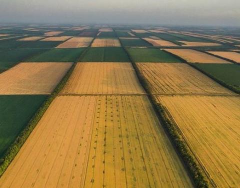 Роз’яснення про купівлю/продаж земельної ділянки за Законом про обіг земель сільськогосподарського призначення