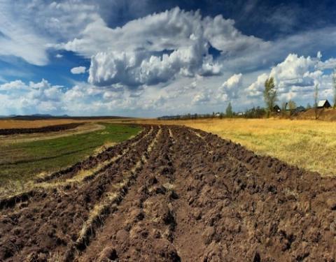 Дослідників запрошують до участі у конкурсі грантів з питань політики управління земельними ресурсами