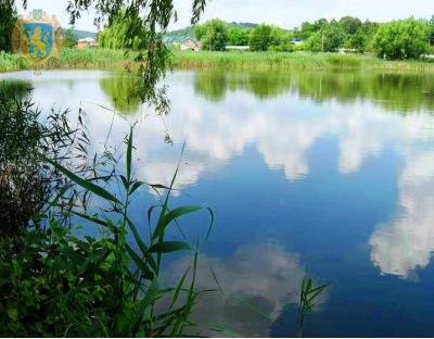 Під час аукціону в оренду передали три водні об’єкти на території Львівщини