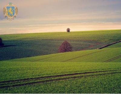 Термін оформлення земельної ділянки планують скоротити