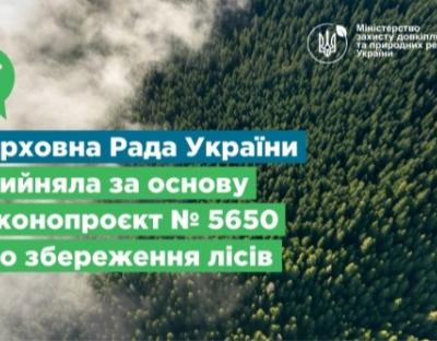 Верховна Рада України прийняла за основу законопроєкт №5650 про збереження лісів