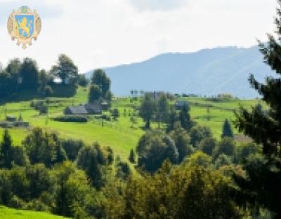 Домогосподарства області запрошують до участі в конкурсі «Деревина для енергії» 