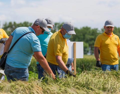 Користувачів земельних ділянок біля Північної об’їзної закликають завершити городні роботи