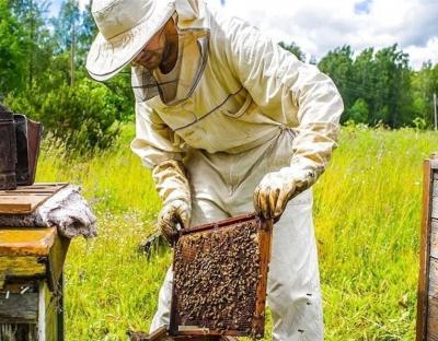 Пасічники Львівщини отримали понад  8,4  млн грн у межах державної  підтримки