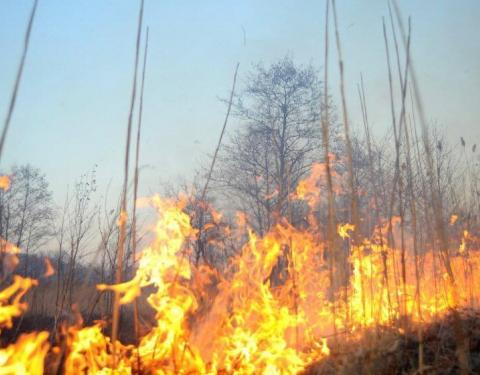 Мешканців області попереджають про високу пожежну небезпеку