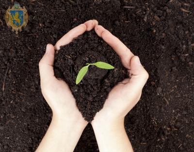 В області здійснюють нормативно-грошову оцінку земель сільськогосподарського призначення