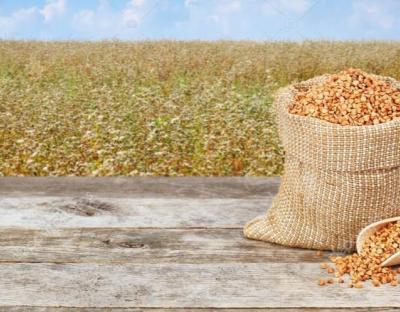 Виробники круп’яних культур отримають державну компенсацію за їх вирощування