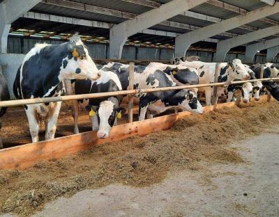 Для покращення генетичного потенціалу тварин виробникам Львівщини спрямували понад 30 млн гривень