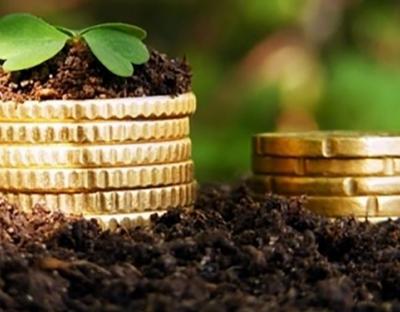 Відомості про грошову оцінку земель 166 населених пунктів області внесли до Державного земельного кадастру