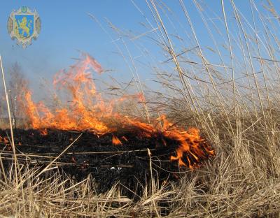 Мешканців області закликають не спалювати суху рослинність