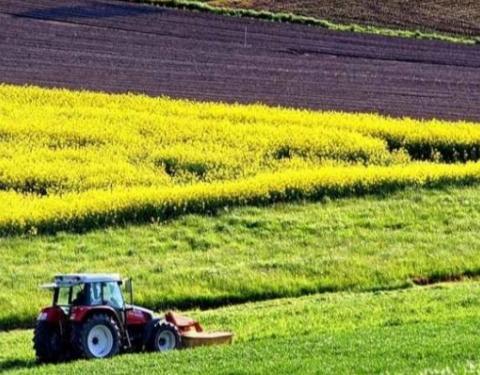 Договір оренди землі на стадії переоформлення: чи сплачувати орендну плату?