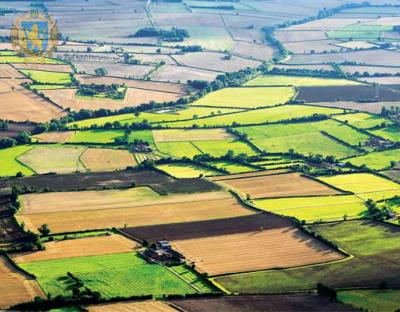 26 липня відбудеться аукціон з продажу права оренди земельних ділянок державної власності