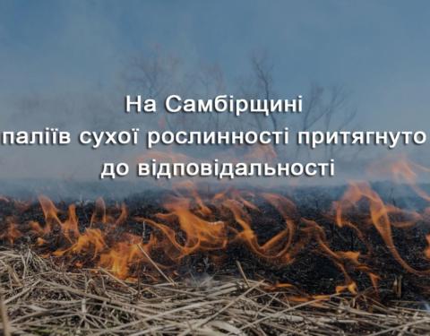 На Самбірщині паліїв сухої рослинності притягнуто до відповідальності