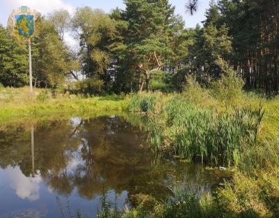 Львівська обласна рада підтримала створення лісового заказника місцевого значення «Лісопарк Рудно»