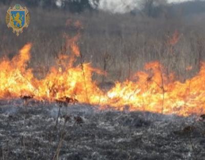 Мешканців Львівщини закликають не спалювати суху траву