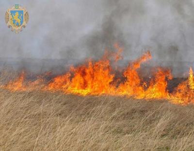 Мешканців Львівщини застерігають від випалювання сухостою