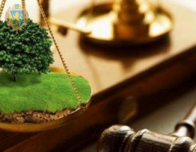 12 грудня - електронні земельні торги з продажу права оренди земельних ділянок державної власності