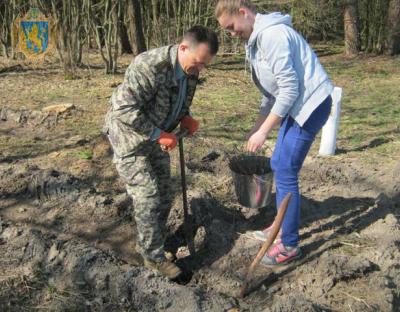 В області висадили понад 2 мільйони сянців головних лісоутворюючих деревних порід