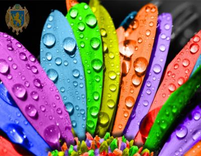 У Пустомитах відбудеться фестиваль «Кольорове місто» 