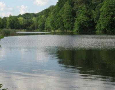 Аукціон з продажу права оренди земельних ділянок разом із водними об’єктами відбудеться 12 травня