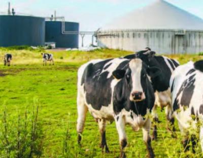 ВРУ внесла зміни до Закону України «Про альтернативні види палива» щодо розвитку виробництва біометану