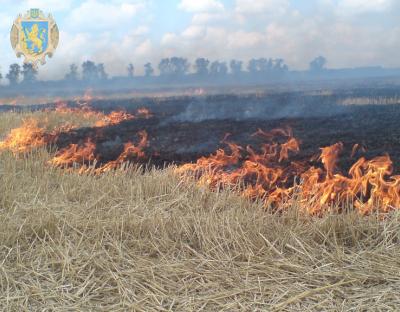 Аграріїв закликають  не підпалювати суху рослинність