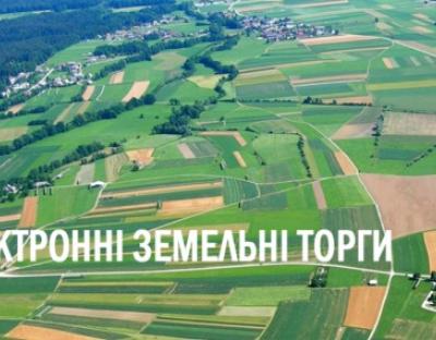 Від початку війни через онлайн-аукціони на території Львівщини успішно продали 46 земельних ділянок