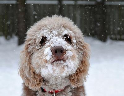 Сьогодні на території області значні опади та ожеледиця