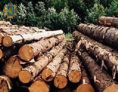 На додаткових аукціонних торгах лісопідприємства продали понад 56% виставленого обсягу необробленої деревини