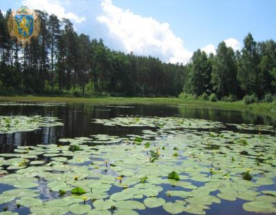 Сьогодні – Міжнародний день водно-болотних угідь