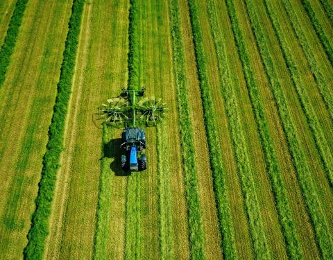 В області відбудеться земельний аукціон з продажу прав оренди п'яти земельних ділянок