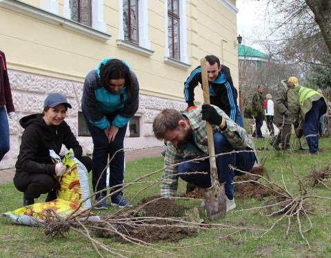 Біля Музею Івана Франка висадили такі ж кущі та дерева, які росли у саду родини письменника