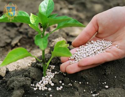 Аграріям пропонують обміняти сільськогосподарську продукцію на мінеральні добрива