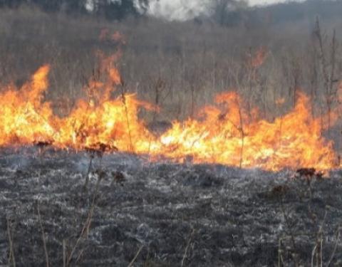 Мешканців Львівщини вкотре застерігають від спалення сухої рослинності